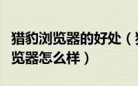 猎豹浏览器的好处（猎豹浏览器好用么猎豹浏览器怎么样）