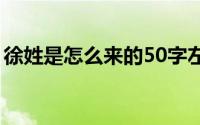 徐姓是怎么来的50字左右（徐姓是怎么来的）