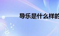 导乐是什么样的（导乐是什么）