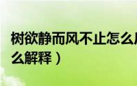 树欲静而风不止怎么反驳（树欲静而风不止怎么解释）