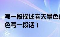 写一段描述春天景色的话（怎样描写春天的景色写一段话）