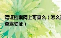 驾证档案网上可查么（怎么查驾驶证档案是否存在网上怎么查驾驶证）