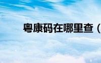 粤康码在哪里查（粤康码在哪里找）