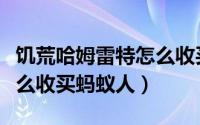 饥荒哈姆雷特怎么收买守卫（饥荒哈姆雷特怎么收买蚂蚁人）