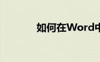 如何在Word中键入拉丁字母