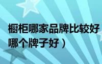 橱柜哪家品牌比较好（橱柜十大品牌排名橱柜哪个牌子好）