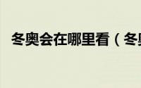 冬奥会在哪里看（冬奥会直播回放在哪看）