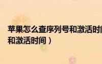 苹果怎么查序列号和激活时间官方查询（苹果怎么查序列号和激活时间）
