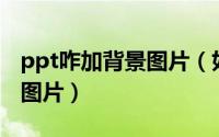 ppt咋加背景图片（如何给PPT加上精美背景图片）