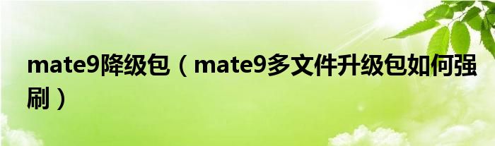 mate9降级包（mate9多文件升级包如何强刷）