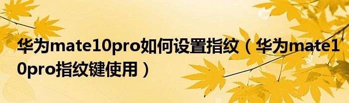华为mate10pro如何设置指纹（华为mate10pro指纹键使用）