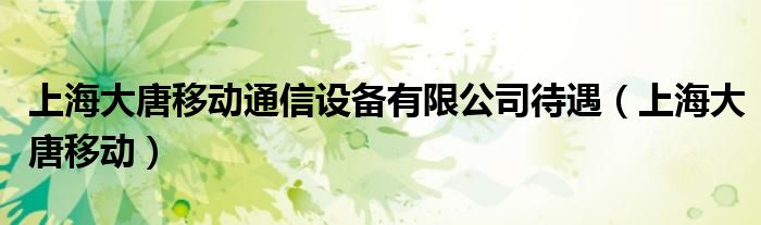 上海大唐移动通信设备有限公司待遇（上海大唐移动）