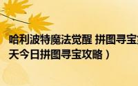 哈利波特魔法觉醒 拼图寻宝第七天（哈利波特魔法觉醒第八天今日拼图寻宝攻略）