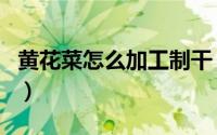 黄花菜怎么加工制干（黄花菜怎么加工成干的）