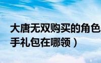 大唐无双购买的角色去哪里领（大唐无双2新手礼包在哪领）