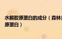 水解胶原蛋白的成分（森林皇后告诉你什么是小分子水解胶原蛋白）