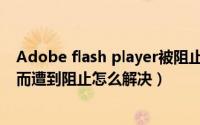 Adobe flash player被阻止（Adobe Flash Player因过期而遭到阻止怎么解决）