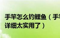 手竿怎么钓鲤鱼（手竿钓鲤鱼技巧详细分析太详细太实用了）