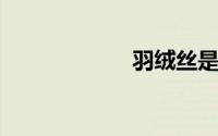羽绒丝是什么成分