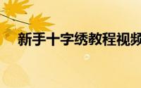 新手十字绣教程视频（新手十字绣教程）