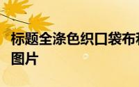 标题全涤色织口袋布和涤棉色织口袋布什么样图片