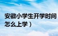 安徽小学生开学时间（安徽公布开学时间学生怎么上学）