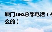 厦门seo总部电话（福建厦门SEO顾问是做什么的）