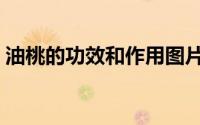油桃的功效和作用图片（油桃的功效和作用）