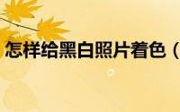 怎样给黑白照片着色（怎样给黑白照片上色）