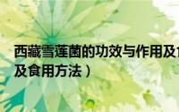 西藏雪莲菌的功效与作用及食用方法（雪莲菌的功效与作用及食用方法）