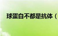 球蛋白不都是抗体（气垫bb的使用方法）