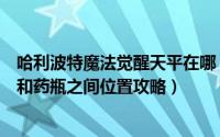 哈利波特魔法觉醒天平在哪（哈利波特魔法觉醒在天平坩埚和药瓶之间位置攻略）