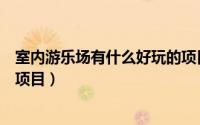 室内游乐场有什么好玩的项目（游乐场一般都有哪些好玩的项目）