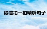 微信拍一拍精辟句子（微信拍一拍表情包）