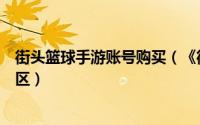 街头篮球手游账号购买（《街头篮球》账号如何激活游戏大区）