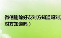 微信删除好友对方知道吗对方列表还有我吗（微信删除好友对方知道吗）