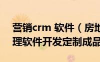 营销crm 软件（房地产销售公司crm销售管理软件开发定制成品）
