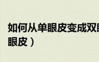 如何从单眼皮变成双眼皮（如何单眼皮变成双眼皮）