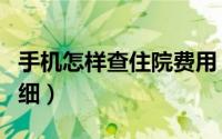 手机怎样查住院费用（手机怎样查住院费用明细）
