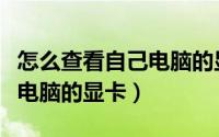 怎么查看自己电脑的显卡版本（怎么查看自己电脑的显卡）