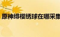 原神绯樱绣球在哪采集（原神绯樱绣球在哪）