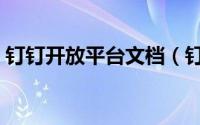 钉钉开放平台文档（钉钉开放平台如何进入）