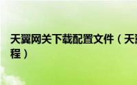天翼网关下载配置文件（天翼网关客户端下载安装方法及流程）