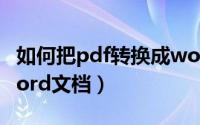如何把pdf转换成word（如何把pdf转换成word文档）