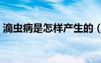 滴虫病是怎样产生的（滴虫病是怎样引起的）