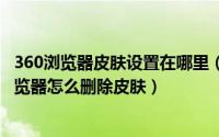 360浏览器皮肤设置在哪里（360浏览器皮肤怎样取消360浏览器怎么删除皮肤）