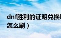 dnf胜利的证明兑换哪个好（dnf胜利的证明怎么刷）