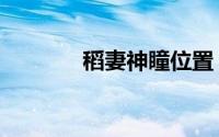 稻妻神瞳位置（稻妻怎么去）