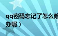 qq密码忘记了怎么修改（qq密码忘记了怎么办呢）