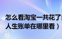 怎么看淘宝一共花了多少钱2021（2021淘宝人生账单在哪里看）
